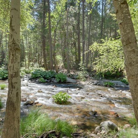 Riverfront Home Near Yosemite National Park! Groveland Exterior foto
