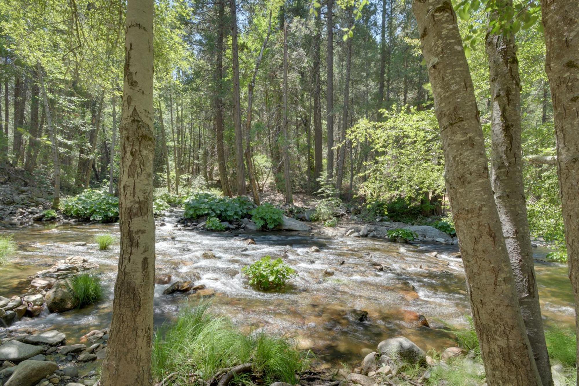 Riverfront Home Near Yosemite National Park! Groveland Exterior foto